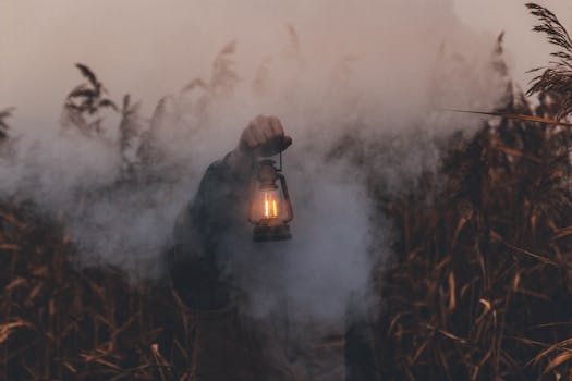 A person holding an antique lantern amidst smoke and tall grass in a moody outdoor setting.